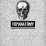 TOPANATOMY