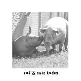 раф ливни с вирта(