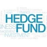 Хедж-фонд Hedge Fund