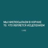 Лекарь Шамиль