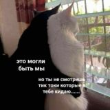 лайкнул тикток