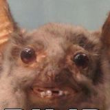 жидкий паралич