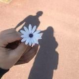 𝙼𝚘𝚟𝚒𝚢 𝚔𝚞𝚣𝚕𝚒𝚐𝚒𝚖🧿