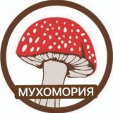МУХОМОРИЯ🍄 | МИКРОДОЗИНГ МУХОМОР | ЕЖОВИК