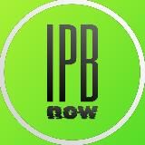 IPBnow — маркетинг, результат