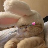 💍beads/beadwork💗