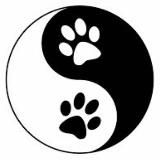 В мире животных🐾