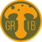 Чага Мухоморовна