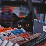 Йольский кот пожирающий книги