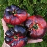 ПОМИДОРОМАМА