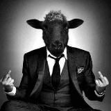 CoriaceOfficiel (Bibliothéque et info)