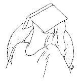 Читающая леди