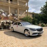 Гос номера чат