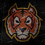 🌋TIger Force👹