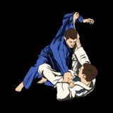 BJJ tech