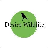 DESIRE WILD LIFE (ЖИВОТНЫЕ И ПРИРОДА)