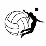 БОТ НА ВОЛЕЙБОЛ