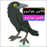 قالاوی جوانروو