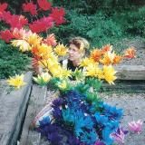 Eva_ULTRA_Buntfieber 🐸🌸💚