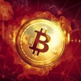 Forex/Crypto Currency Investment💹💯