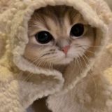 Обсуждаем и Осуждаем