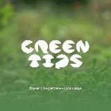 Green Tips - дизайн современного сада