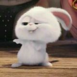 Совмы и хуйня для ролок 🤓