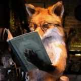 Books_Foxi | У нас интересно