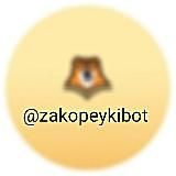 zakopeyki.site - загугли