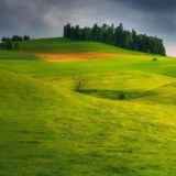 Чат огородника