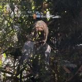 don’t kill my vibe