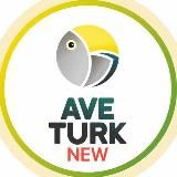 AveTurk / Основание Осман все серии