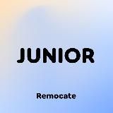 Remocate Junior: стажировки и вакансии для молодых специалистов