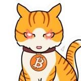 CRYPTO CAT