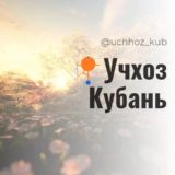 Учхоз Кубань Калинина Красных партизан Краснодар Знакомства Чат Общение Познакомиться Нетворкинг Группа Барахолка объявлени