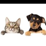 Лучик надежды группа