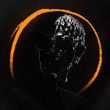 Записки Профессора