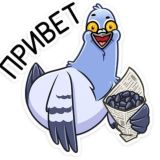 🤠АНТИШаПошляк