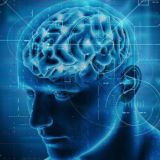 Здоровье ментальное и биохакинг ☯