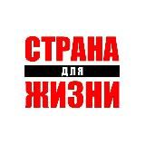 Волонтеры СДЖ МИНСК