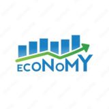 Economy Notes gs3 Optionals