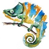 Хамелион Идей