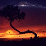 Тревел видео✈️🏞