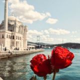 Сериалы🇹🇷