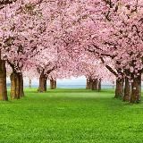 Християнські псалми😊