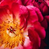 Обои на телефон | wallpapers