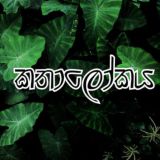 කතාලෝකය - ලියා අවසන් නවකතා - N O V E L S
