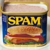 LIFE FOR SPAM
