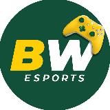 BetWinner Esports