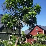 Naturwissen für Mensch und Tier